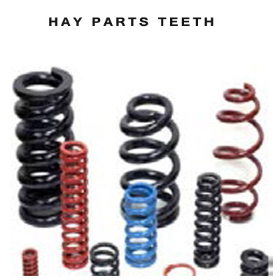 Hay Parts Teeth